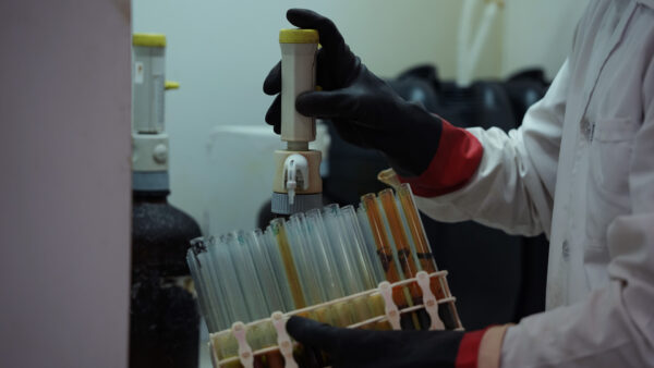 لوله آزمایش پلاستیکی 16×160 - تصویر 3